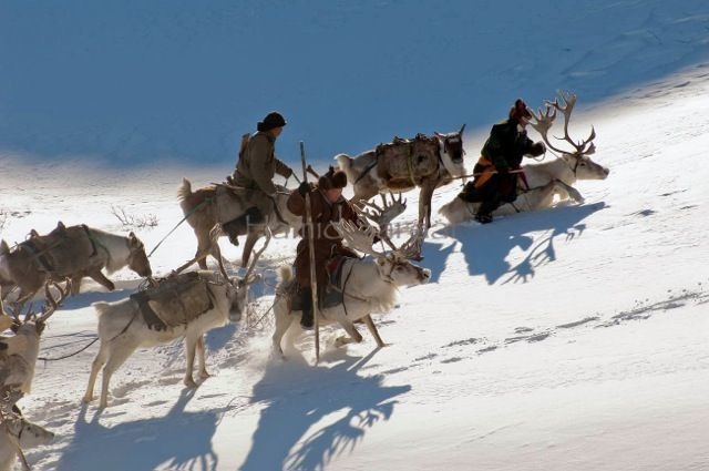 mongolia_reindeer_tribe_2