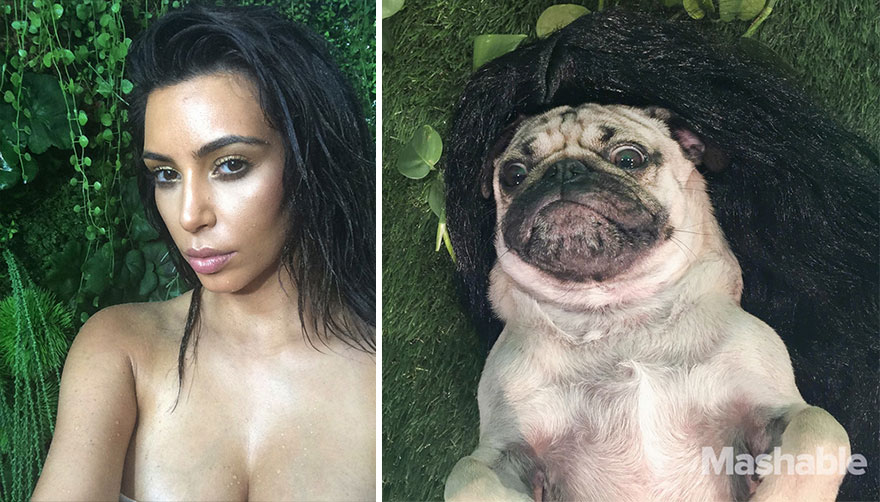 doug-the-pug-recreates-kim-kardashian-selfies-1