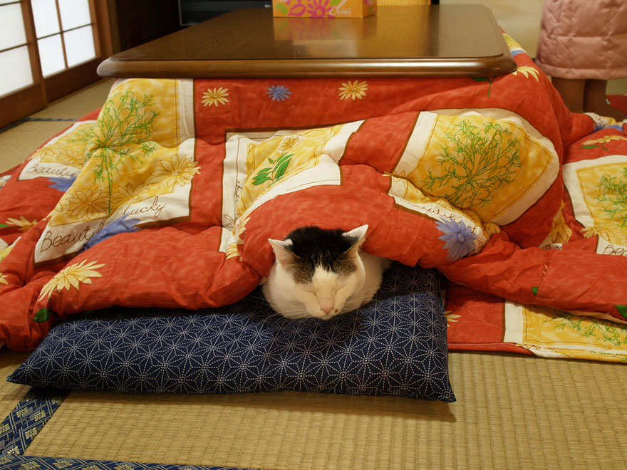 kotatsu-japanese-heating-bed-table-10