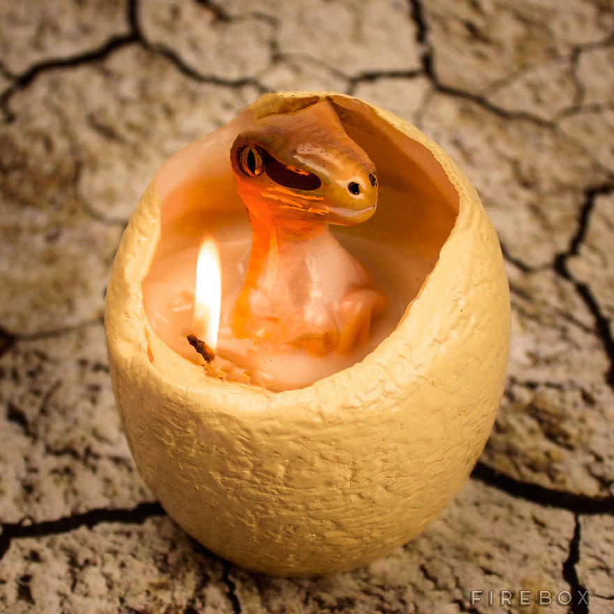 candele raptor2