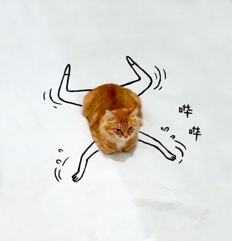 Doodle-Cat-14