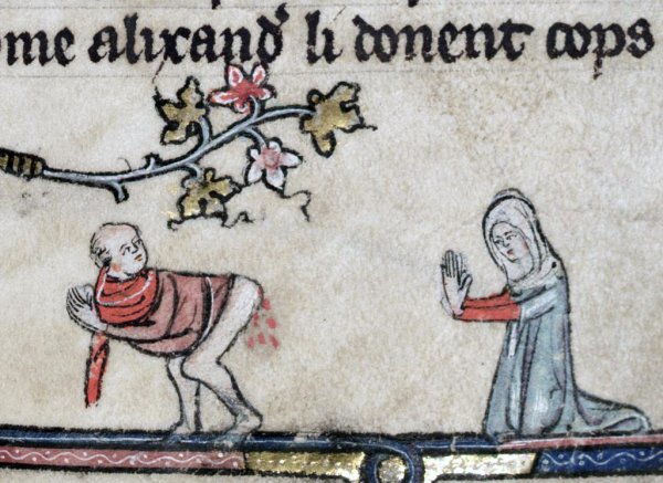 illustrazioni medievali wtf1