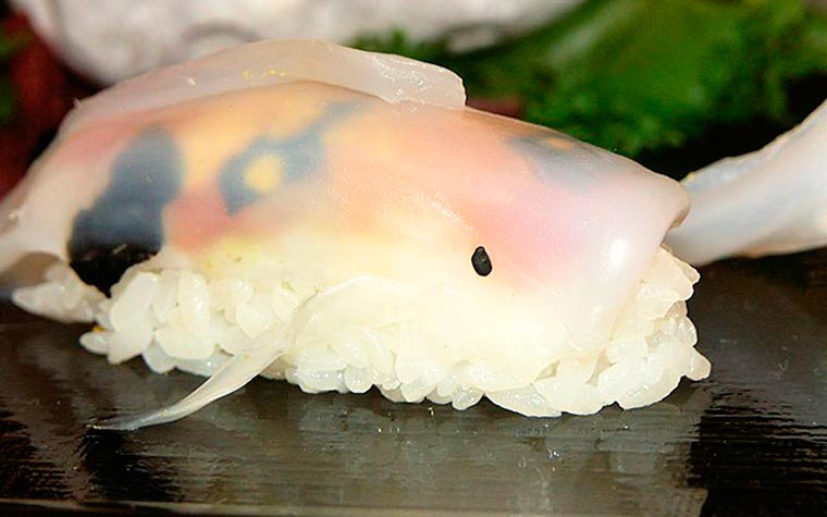 sushi-carpe-koi-2