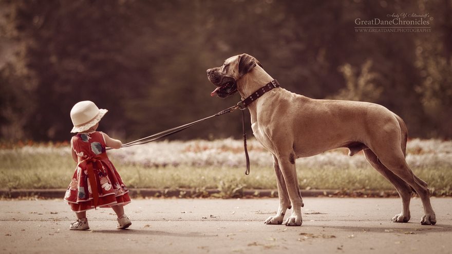 little-kids-big-dogs-photography-andy-seliverstoff-24-584fa92ca8a9c__880