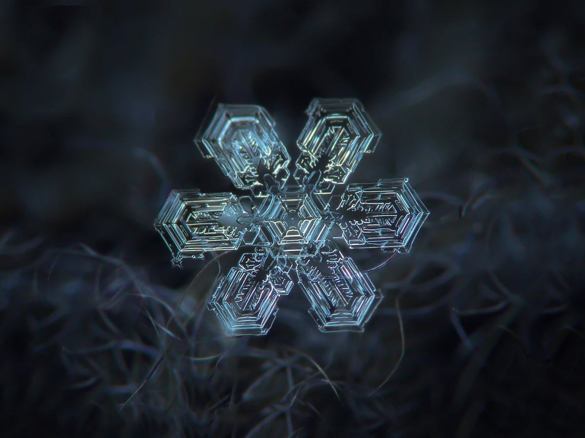 for-bothphototypes-kljatov-actually-took-a-series-of-pictures-of-the-same-snowflake