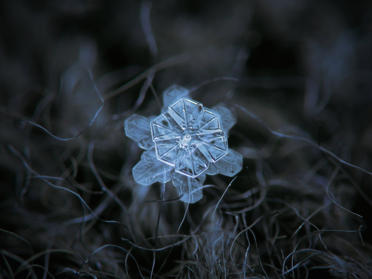 last-but-not-least-this-snowflake-is-three-dimensional-in-the-coolest-way