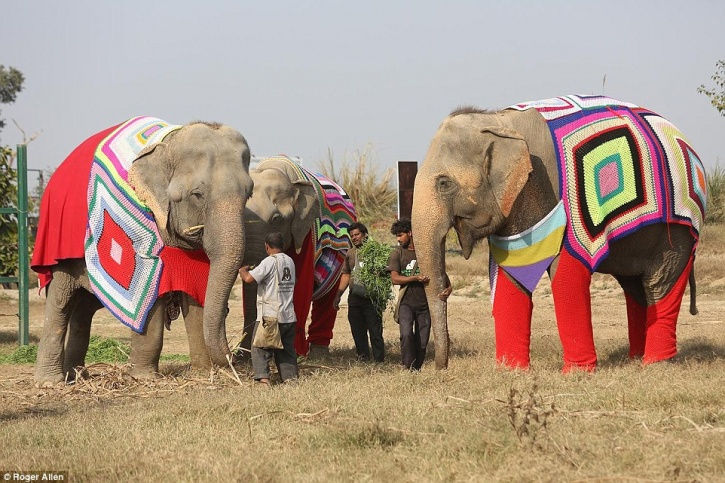 tre-elefanti-pigiama