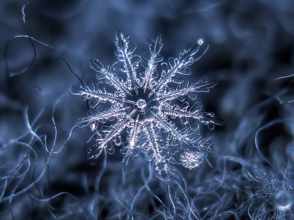 we-love-the-small-imperfections-he-captures-like-the-tiny-snowflake-connected-to-this-larger-one-seen-below