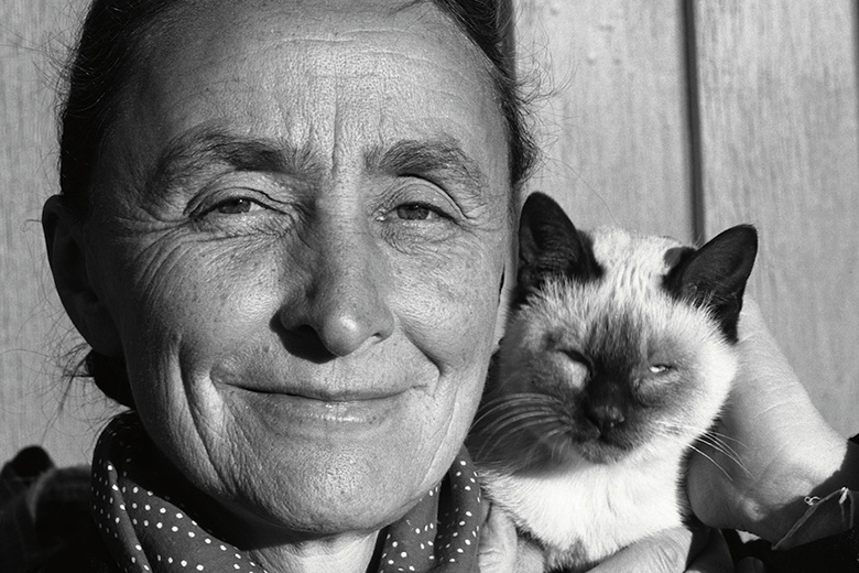 intimate-portraits-of-iconic-artists-and-their-cats-in-new-book-5
