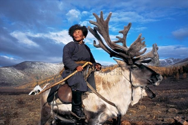 mongolia_reindeer_tribe_3
