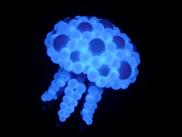 jellyfish_0