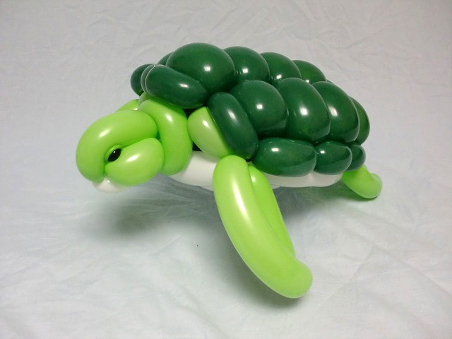turtle_0