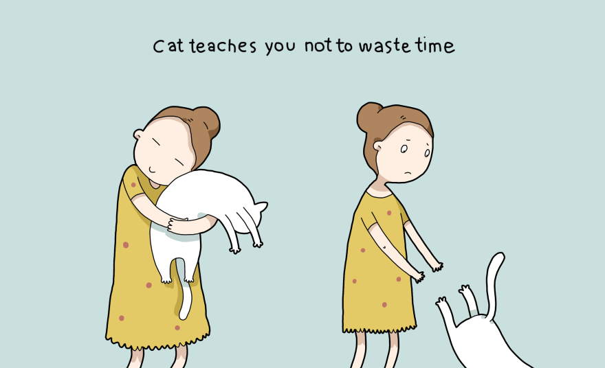 I gatti vi insegnano a non perdere tempo 