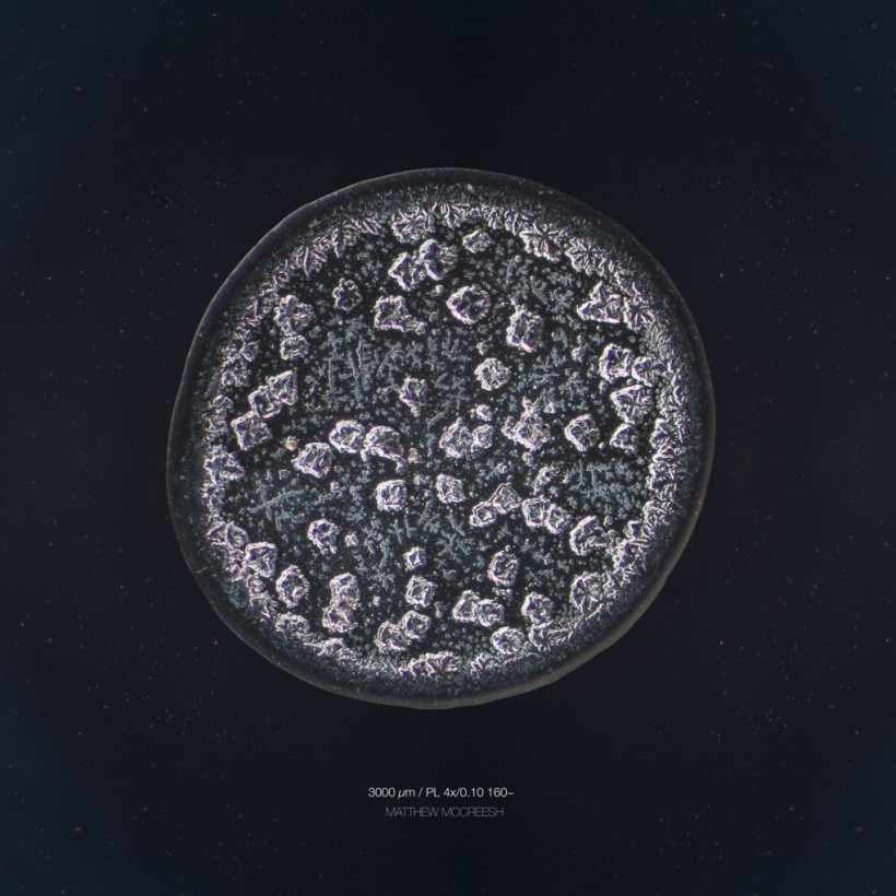 larme-amis-microscope-05-820x820
