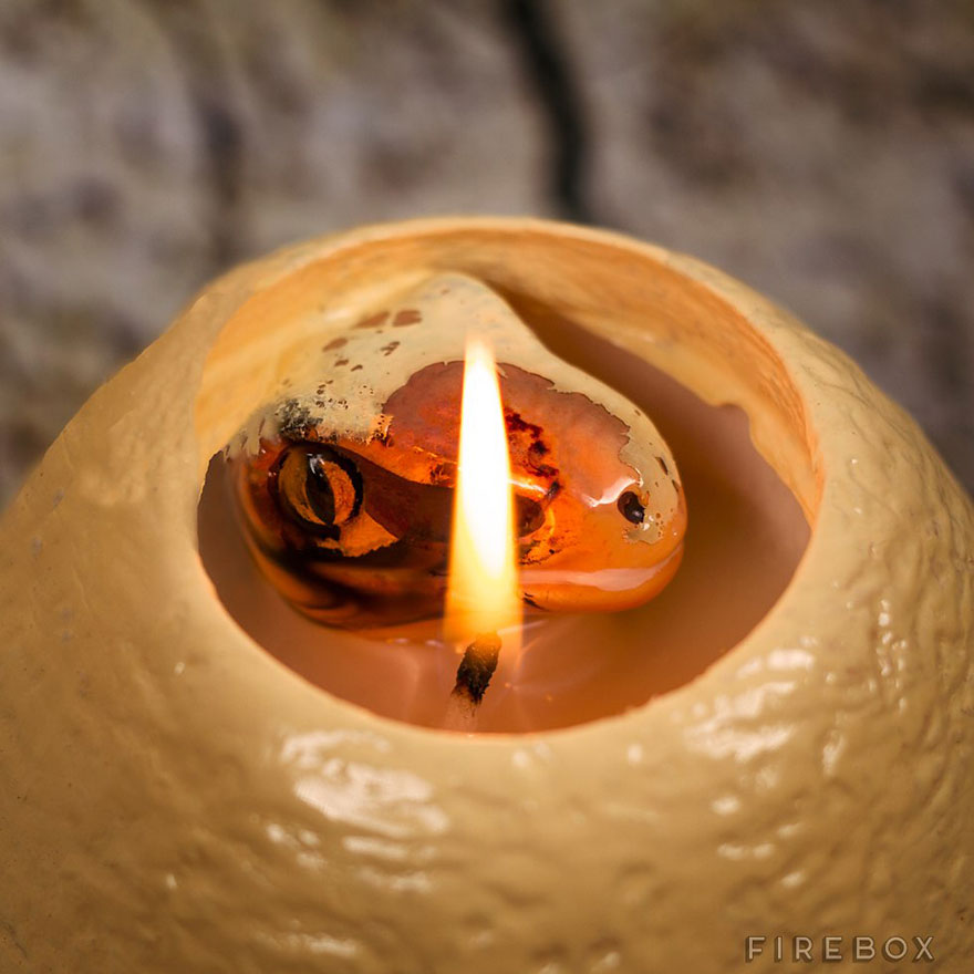 candele raptor14