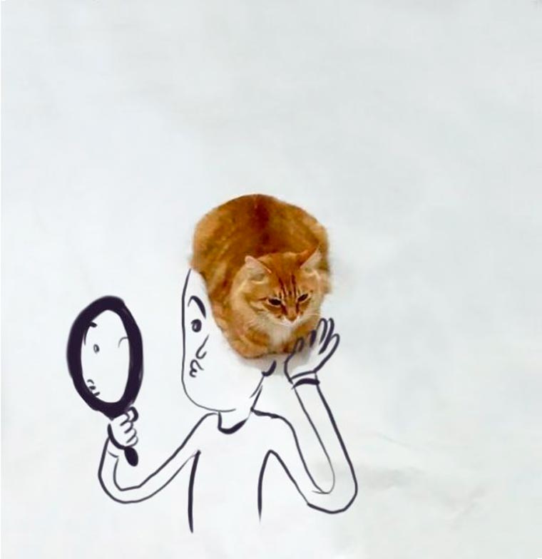 Doodle-Cat-1