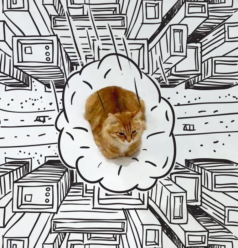 Doodle-Cat-13