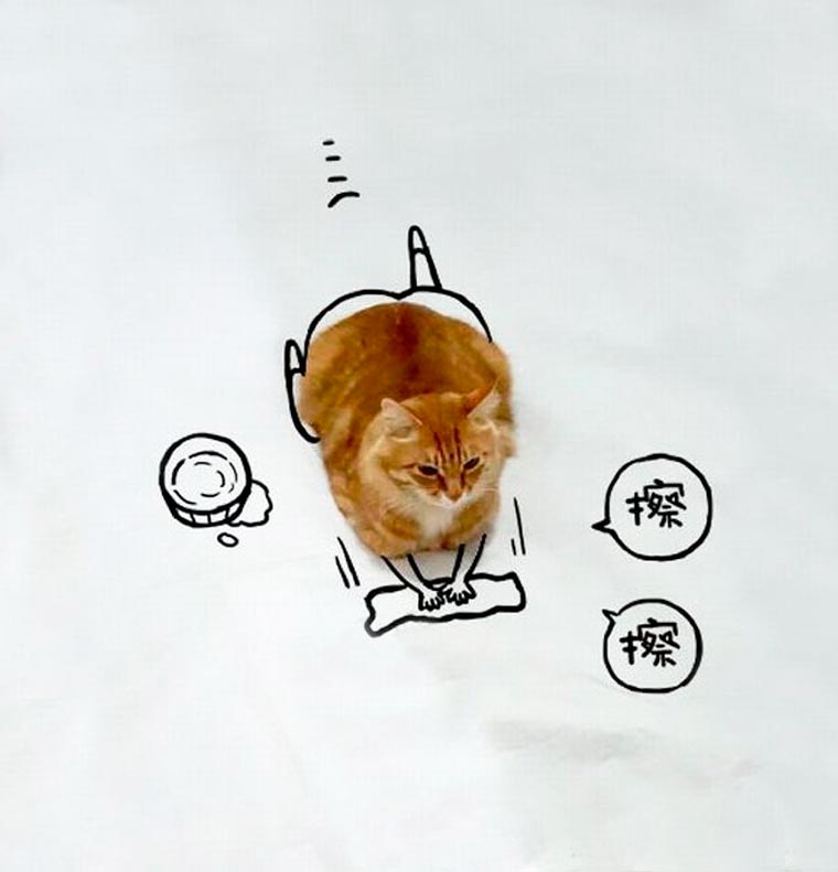 Doodle-Cat-16