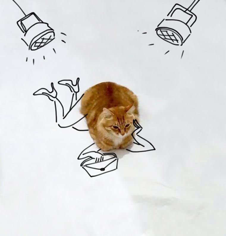 Doodle-Cat-8