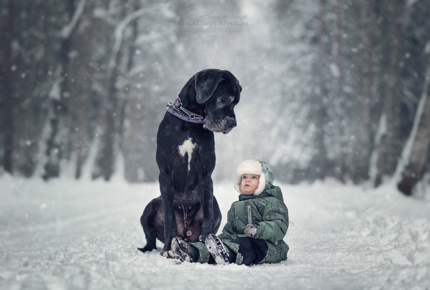 little-kids-big-dogs-photography-andy-seliverstoff-44-584fa95fcc8ec__880
