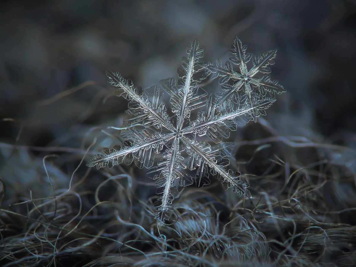 heres-another-shot-of-two-snowflakes-that-buddied-up