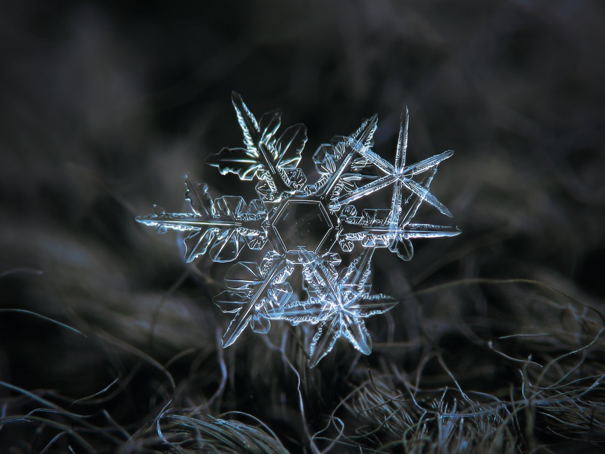 kljatov-was-inspired-to-try-his-own-snowflake-photography-after-seeing-a-website-called-snow-crystals-created-by-a-caltech-physics-professor-named-kenneth-libbrecht